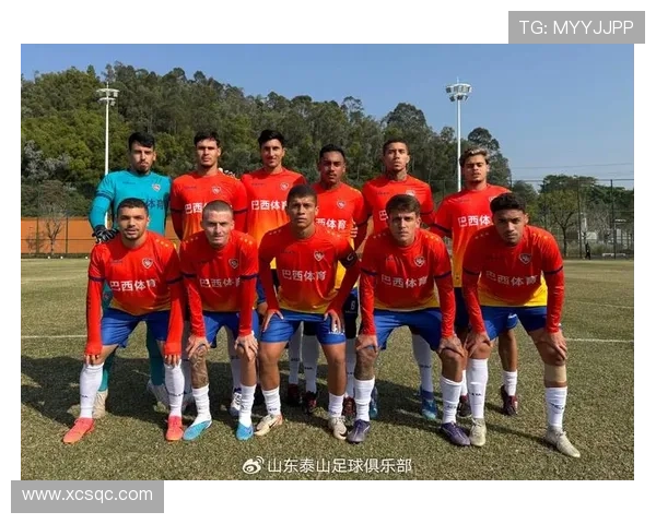 巴西六月六日迎战埃及热身赛前